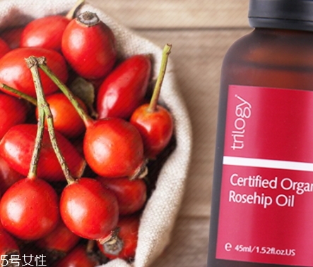 玫瑰果油可以直接擦在脸上吗,玫瑰果油能直接涂脸吗 玫瑰果油可以直接擦在脸上吗,玫瑰果油能直接涂脸吗