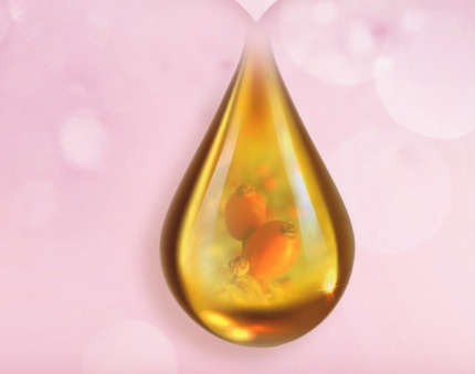 玫瑰油在哪里买,玫瑰果油多少钱一瓶