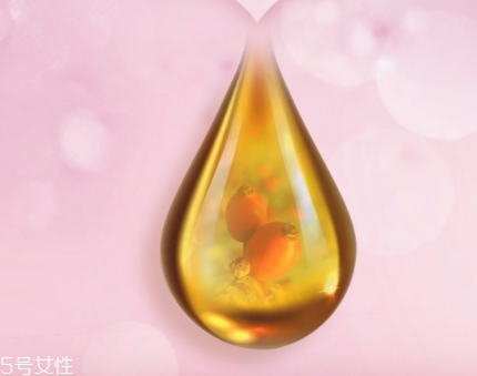 玫瑰果油的功效和作用及使用方法,玫瑰精华油有什么功效 玫瑰果油的功效和作用及使用方法,玫瑰精华油有什么功效