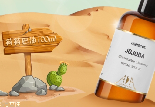 精油和提取物的区别,精油和基础油的区别