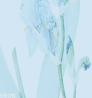 瑞士漾兰怎么样,瑞士漾兰属于什么档次 瑞士漾兰怎么样,瑞士漾兰属于什么档次