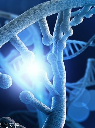 egf的副作用,egf的作用和功效