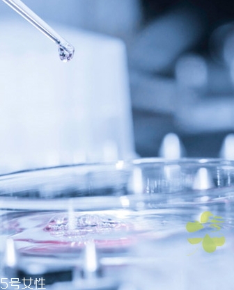 swissline是什么牌子,swissline就是国内生产