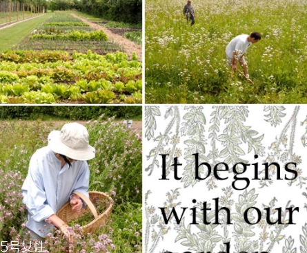 菠丹妮到底好不好,菠丹妮真的有那么好吗