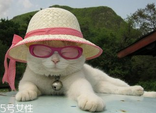 冬天需要注意防晒吗,防晒春夏秋冬都要抹吗