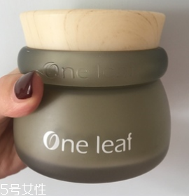 彩泥大全简单又漂亮植物,彩泥用什么颜色和什么颜色