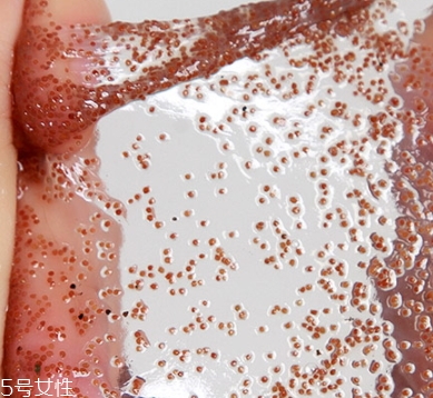 半亩花田海藻面膜好吗,半亩花田海藻面膜生产日期在哪? 半亩花田海藻面膜好吗,半亩花田海藻面膜生产日期在哪?