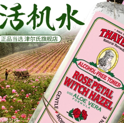 北美金缕梅是什么,北美金缕梅的作用和效果