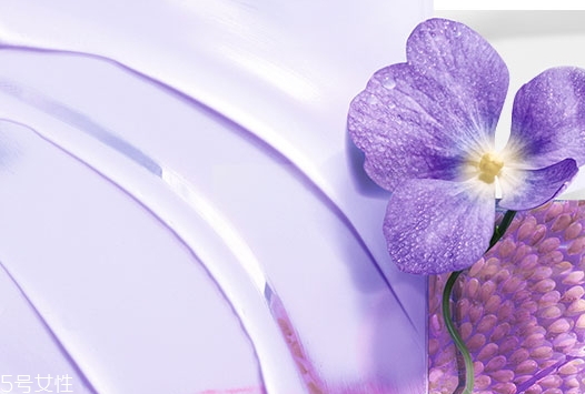 所有茶的功效,这个有什么功效