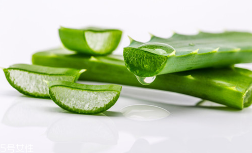 芦荟可以直接涂在脸上过夜吗,芦荟胶可以敷脸过夜吗