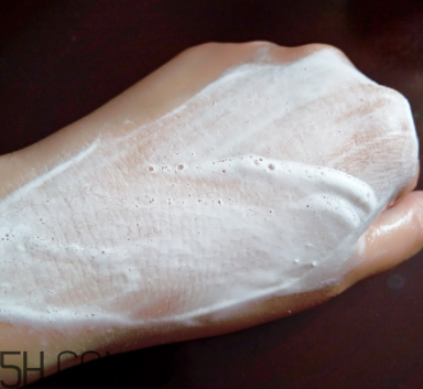 诗婷露雅洗面奶怎么样,诗婷露雅坚果盈润保湿系列怎么样 诗婷露雅洗面奶怎么样,诗婷露雅坚果盈润保湿系列怎么样