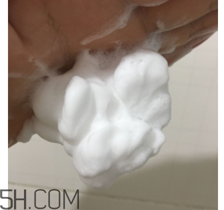 雪肌精绵绵泡沫洗颜皂,雪肌精逸透洗颜泡沫