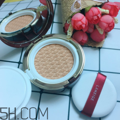 兰芝bb气垫霜怎么样,兰芝气垫适合干皮用吗