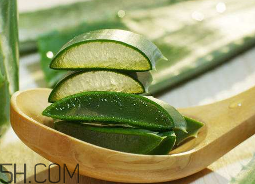 自然乐园芦荟胶保质期多久,什么牌子的芦荟胶是纯天然的