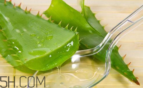 雅丽洁芦荟胶怎么用,雅丽洁芦荟胶好用还是完美芦荟胶好用