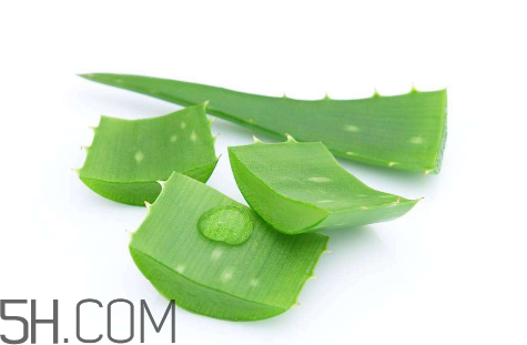 雅丽洁芦荟胶功效作用,雅丽洁芦荟胶功效