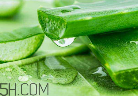 雅丽洁芦荟胶测评,雅丽洁芦荟胶好用还是完美芦荟胶好用