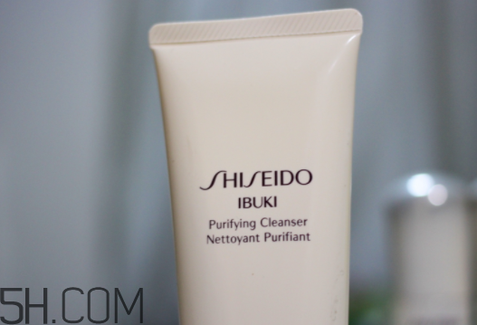 资生堂新漾美肌精华润肤霜,资生堂新漾美肌系列没有了吗