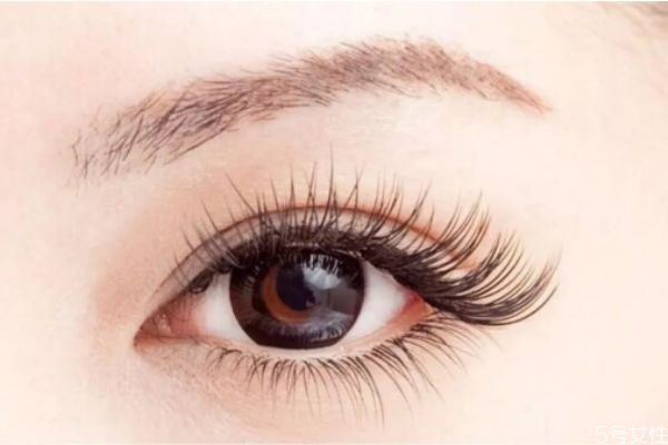 嫁接睫毛哪个粗度最好,嫁接睫毛的粗度有哪些