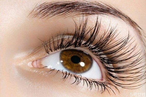嫁接的睫毛可以涂睫毛膏吗,嫁接睫毛膏怎么使用