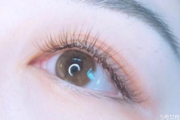 接睫毛的方法和技巧,学嫁接睫毛