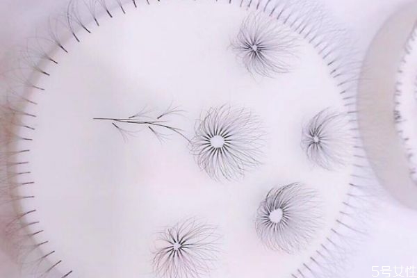 嫁接睫毛后的注意事项温馨提示,嫁接睫毛后的注意事项什么时候会掉 嫁接睫毛后的注意事项温馨提示,嫁接睫毛后的注意事项什么时候会掉