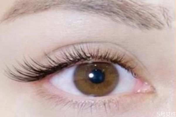 内双接什么睫毛好看,内双适合接什么样的睫毛