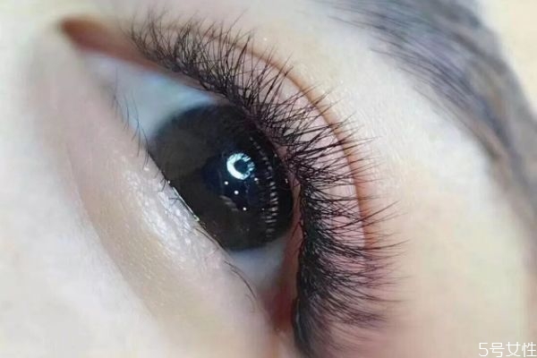 嫁接睫毛怎么保持更长时间,嫁接睫毛能保持多久怎么才能持久