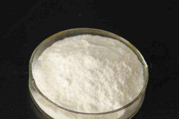 甲壳素什么人不能吃,甲壳素有什么作用 甲壳素什么人不能吃,甲壳素有什么作用