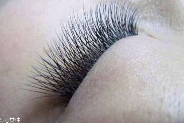 接睫毛和种睫毛的区别,接睫毛和种睫毛一样吗 接睫毛和种睫毛的区别,接睫毛和种睫毛一样吗
