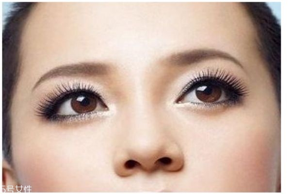 切眉是怎么回事,为什么要切眉毛 切眉是怎么回事,为什么要切眉毛