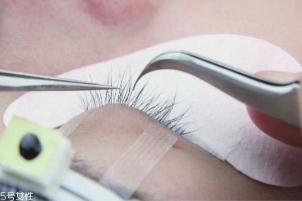 种眼睫毛的方法,种睫毛的方法和流程