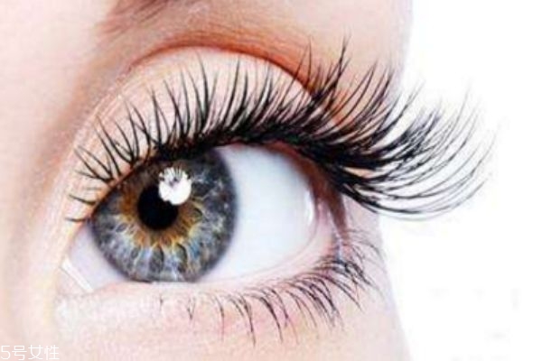 睫毛种植可以维持多久,种睫毛一般保持多久 睫毛种植可以维持多久,种睫毛一般保持多久