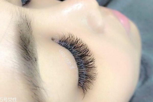 种睫毛和嫁接睫毛的区别,种睫毛和嫁接睫毛有什么区别