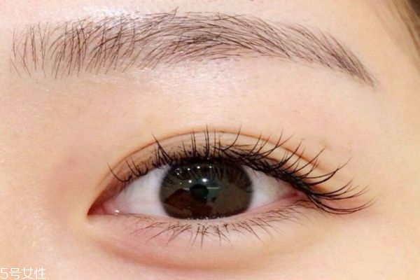 种植眼睫毛有损害吗,眼睫毛种植有什么危害