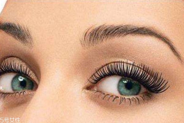 种植睫毛能维持多久,一般种睫毛能维持多久