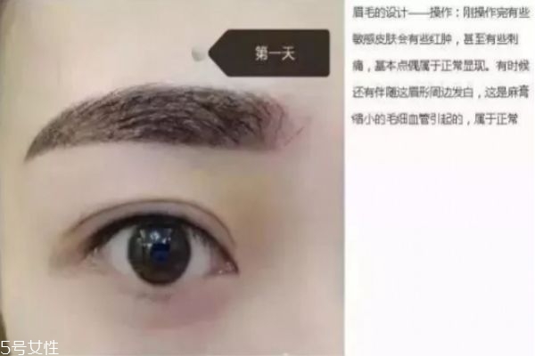 纹眉七天的变化图,纹眉七天的变化过程