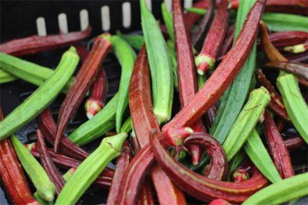 孕妇吃红秋葵对胎儿好吗,孕妇吃秋葵对胎儿有什么影响