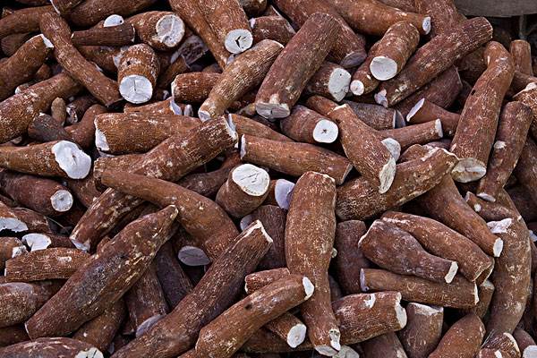 木薯怎么处理才能吃,木薯可以怎么吃