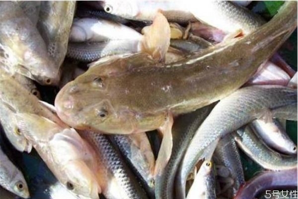 沙拉怎么做好吃,沙县小吃怎么做好吃