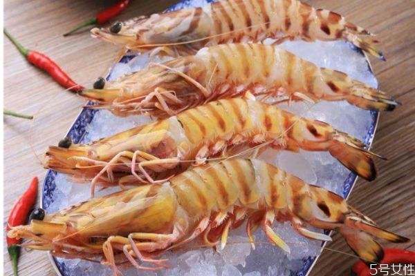 九节虾的热量,斑节虾热量