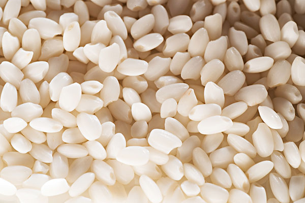 糯米和大米能一起煮吗,糯小米可以和大米一起煮吗