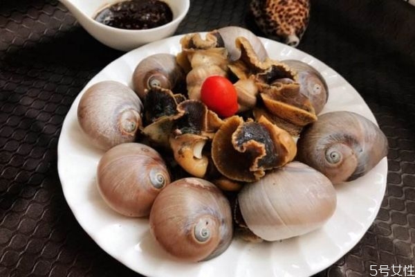 香螺的营养价值,香螺有什么营养和功效