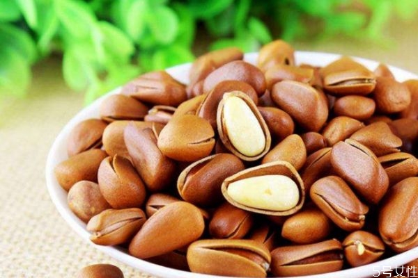 松子如何存放,新鲜松子的储存方法