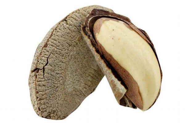 鲍鱼果吃了上火吗,鲍鱼吃了会上火吗