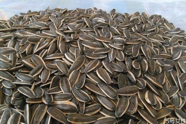 葵花籽什么时候成熟,葵花籽在什么季节成熟