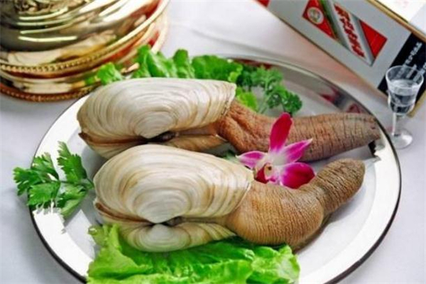 象拔蚌是发物吗,象拔蚌是发物吗梦见自己怀孕了