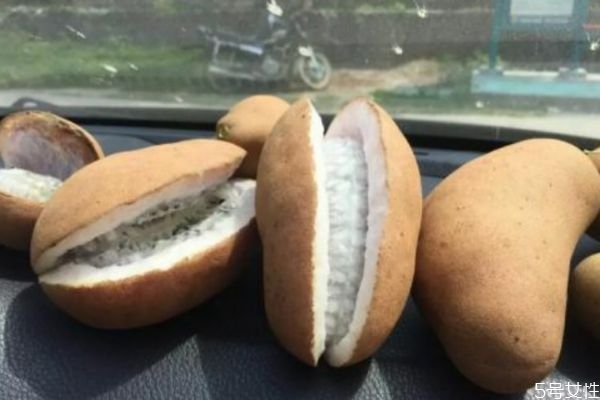 野香蕉的功效和作用,香蕉有营养价值吗 野香蕉的功效和作用,香蕉有营养价值吗