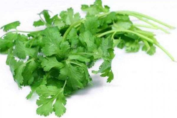 吃香菜有什么好处呢?,吃香菜的好处和坏处