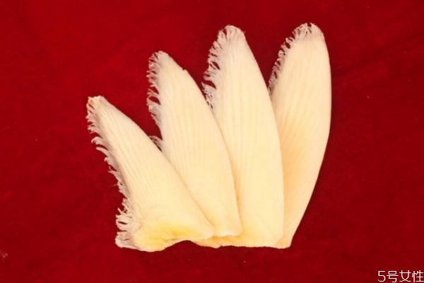 鱼翅有什么营养价值吗,鱼翅的营养 鱼翅有什么营养价值吗,鱼翅的营养